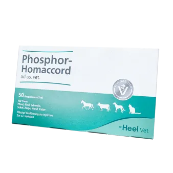 Фосфор гомаккорд (Phosphor-Homaccord) для собак амп. №50