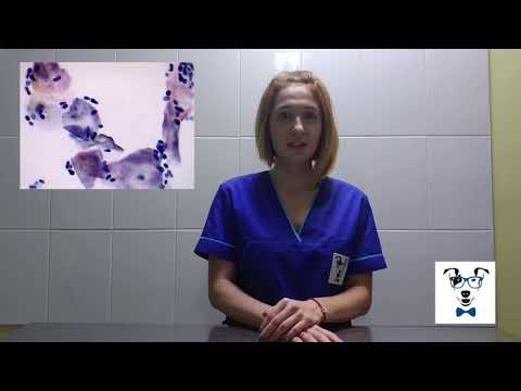 Видео о препарате Канаурал вет, ушные капли 15мл
