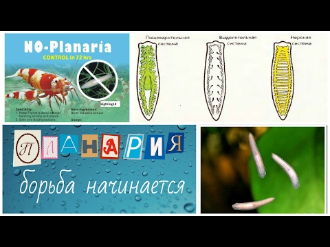 Видео о препарате Но-планария No-planaria 50г